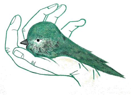 Logo-Kindergarten